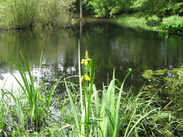 Suivi milieu 13 mai 2007 PDH 065